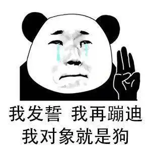 每日精选沙雕表情包
