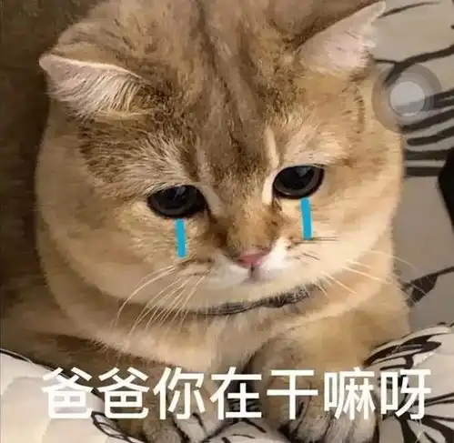需要爸爸妈妈系列表情包
