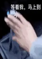 gif动图

