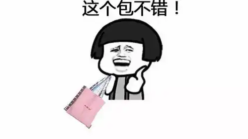 我的帆布包小众又时髦ins红人都抢着背