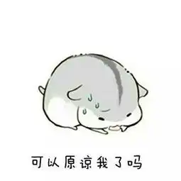 微信表情包以后就这样跟老婆认错,妥妥的
