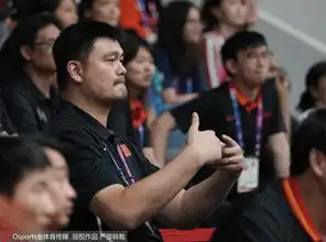 定心丸姚明指导周琦鼓励小丁又献表情包
