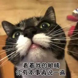 全新猫咪斗图表情包来啦
