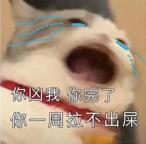 你凶我你一周拉不出屎第276期喵表情
