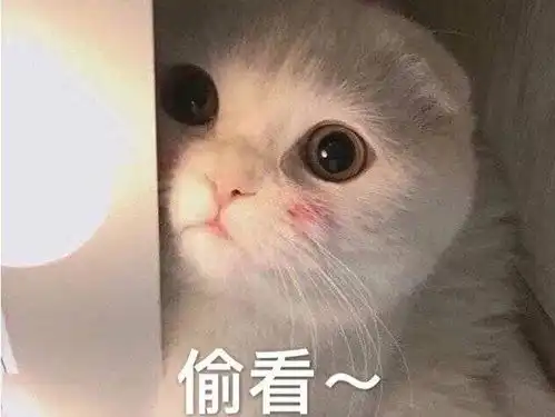 你好18军训篇军训那些不得不知道的事
