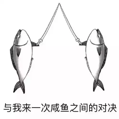 假期安利一人一手机,优雅过假期
