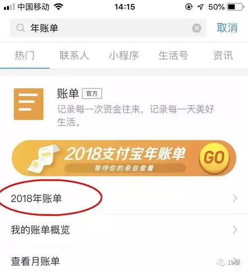 10w暴击的年度账单上线网友吓哭可怕,我的钱是大风刮来的吗
