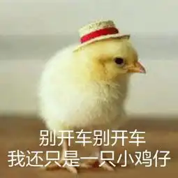 77张鸡表情包祝你鸡年大吉吧