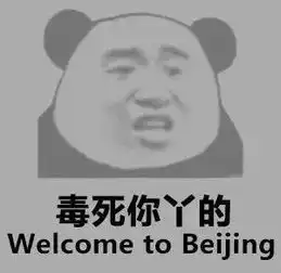 全球宜居城市排名上海竟被苏州北京完爆
