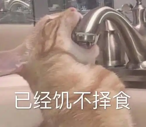 这碗粥开新文啦