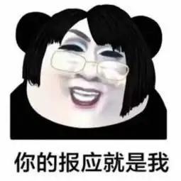 百因必有果,你的报应就是我
