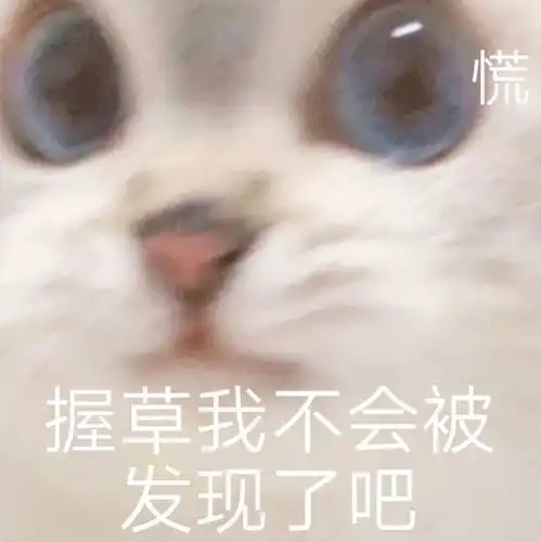 你能拒绝宠物喵的表情包吗我不能
