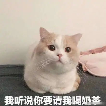 可爱猫猫的表情包合集咋回事呢,小老弟

