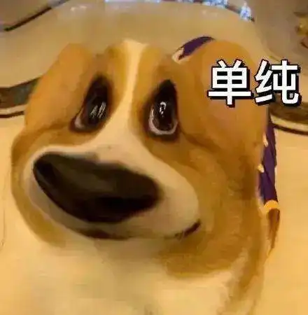 未来几天晴天干燥持续宜洗晒运动补水赏花
