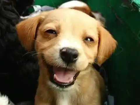 你不知道我知道

