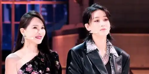 伊能静黄圣依组团碰瓷,李晨被两次内涵,张馨予表情微妙

