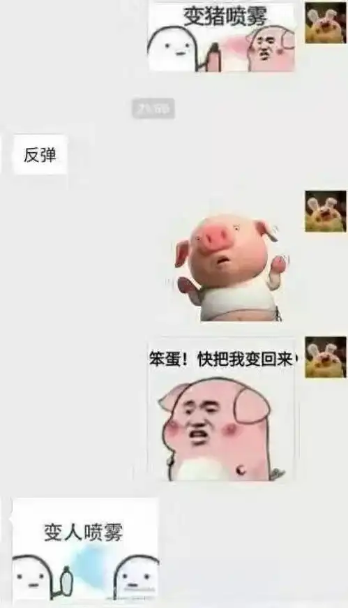 对方不和想你聊天,并给你丢了一个表情包
