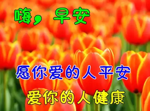 早上好动态表情图片大全,早晨好动图美图大全
