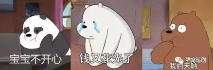 美国版熊出没猫姐我笑了一整天
