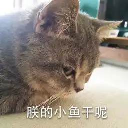 表情包,语言文字的另类表达