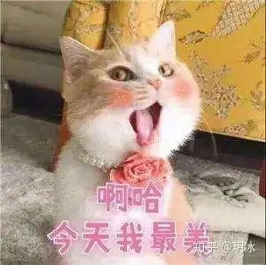 2020化妆刷选购指南,化妆套刷推荐
