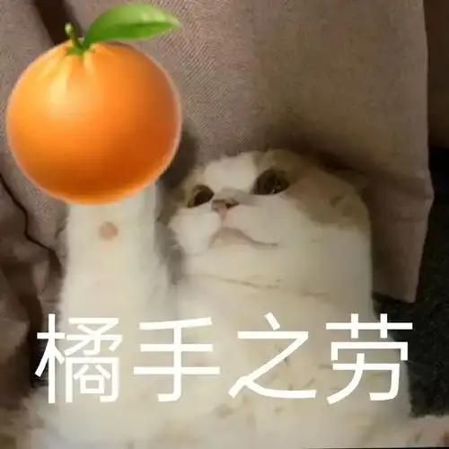 和男朋友打情骂俏的沙雕猫咪表情包
