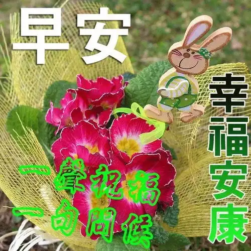正月二十最新早上好问候动态图带字最美早安问候图片带字温馨
