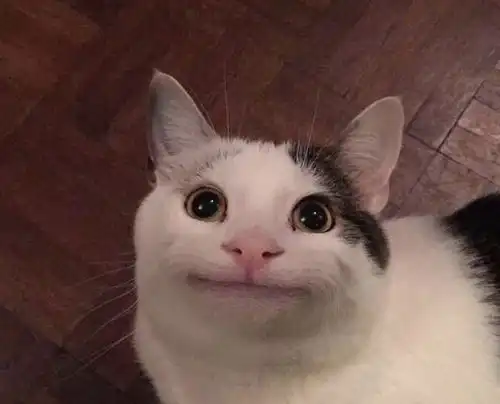 把猴子的威胁表情当飞吻结果被它狠狠咬了脸学不会读表情,只会害了自己
