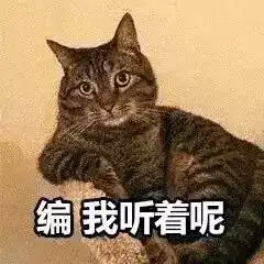 最近很火的40张猫咪表情包
