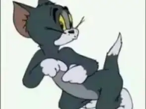 猫和老鼠汤姆猫十年的十一种形象,谁还记得这只黑色汤姆
