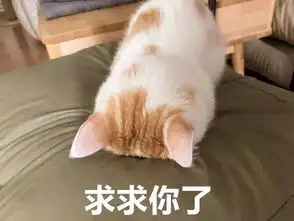 喵星人给你丢了个表情包你算哪块小饼干
