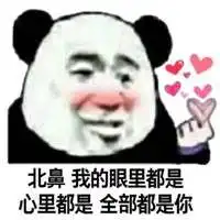撩汉撩妹聊天专用表情包熊猫头帮你说出内心情愫
