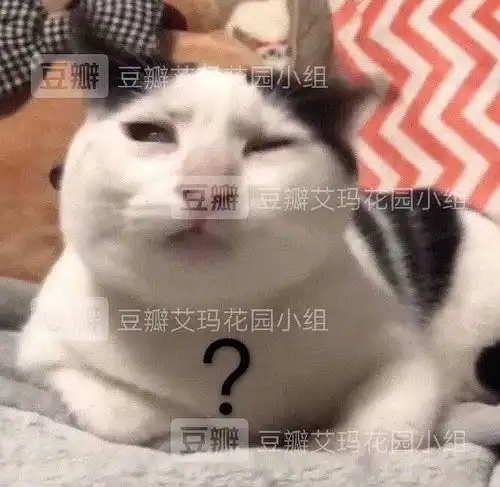 关于爱豆的收入水平