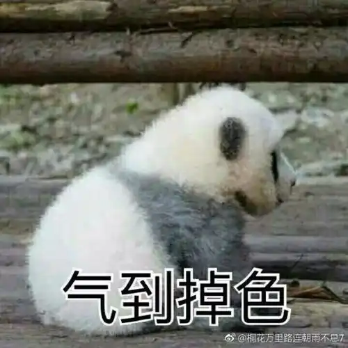 38仙女节妹子集体吐槽男友送的奇葩礼物
