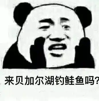 有没有人有流浪地球的表情包啊
