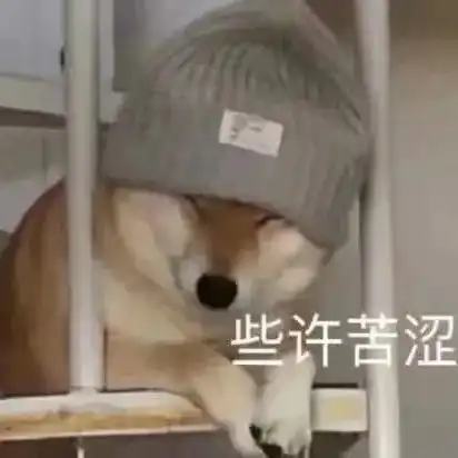 表情包些许苦涩
