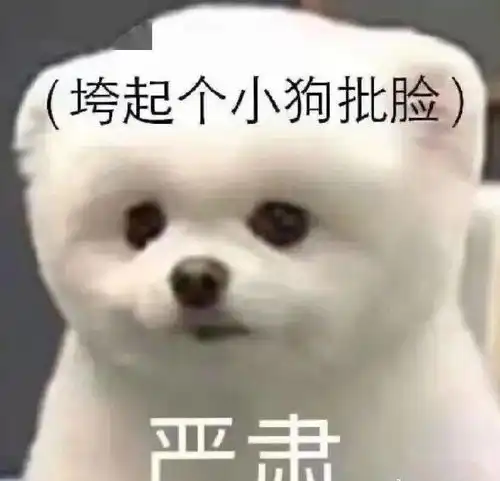曝光网友沙雕私密聊天截图哈哈哈哈哈哈我笑的好大声

