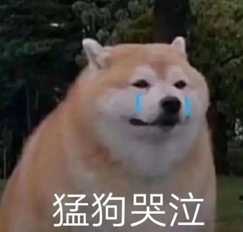 能给我发一张p照吗网友真实聊天记录曝光,结局引起极度舒适哈哈哈
