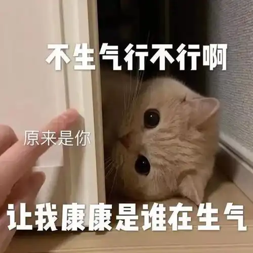 表情包让我康康是谁在生气,不生气行不行啊
