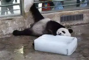 身为全球十大避暑名城,贵阳竟然快热爆啦
