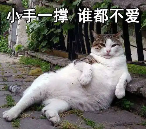 红尘表情包让你们爱啊爱地去酸去吧,我一个狗保持清香就行
