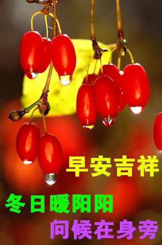 早上好问候语表情包,天冷降温多穿点,祝你快乐好心情
