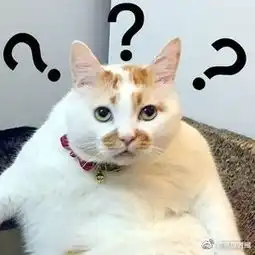 我们的表情包没了网红猫楼楼去世68万粉丝哀悼
