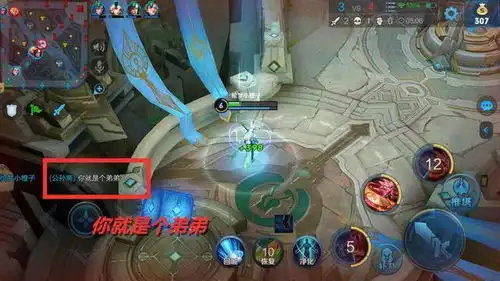 王者荣耀不服solo那些无能狂怒玩家的经典语录
