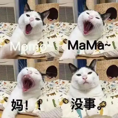 在t台上摔倒不可怕,可怕的是你寒假没有去联合国美企实习
