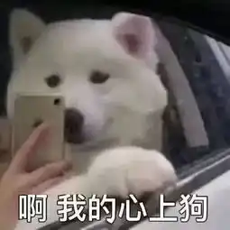 宋祖儿杨丞琳的私藏拍照app,全被我扒出来了
