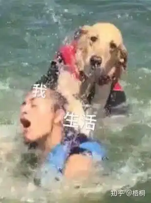 每晚做噩梦怎么办
