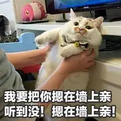 撩女友专用表情包,我帅我先睡了
