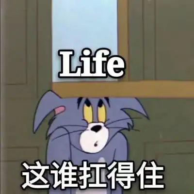 岍妍猫和老鼠系列表情包3
