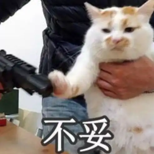 养猫人最容易上的当千万别给猫吃猫粮这种博主能不能不要再挣黑心钱了有福利
